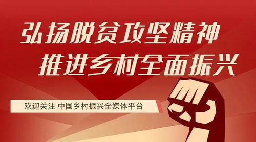25個縣獲住建部與財政部聯合補貼，存算一體成縣域服務新引擎
